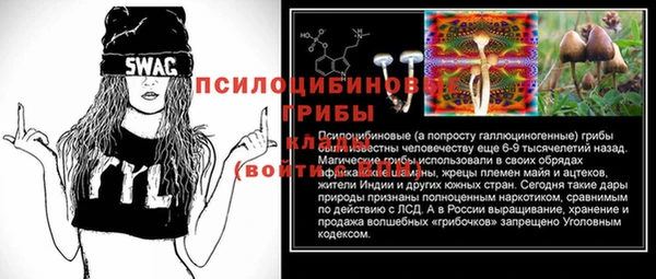 сатива Абинск