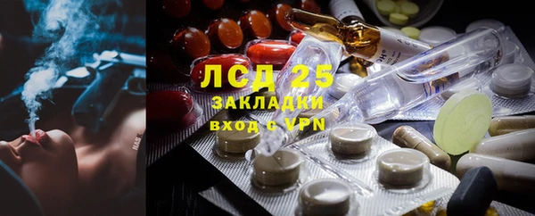 сатива Абинск