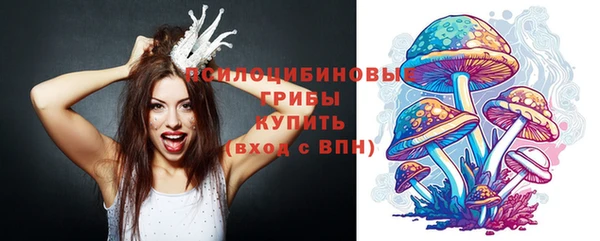 сатива Абинск
