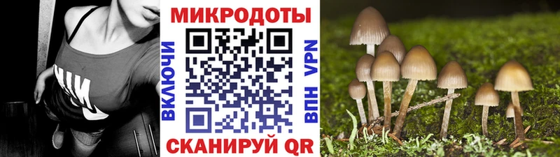 Псилоцибиновые грибы Cubensis  гидра как зайти  Братск 